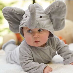 Pottery Barn Elephant Baby Costume (12-18mo)